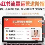 (15827期)小红书流量运营进阶指南,数据分析与涨粉引流,笔记起死回生7大实操方案