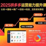 (15826期)2025拼多多运营能力提升课:认知→基础→推广→活动→玩法,五阶成长路径