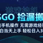 (15820期)8月最新游戏搬砖,CSGO纯挂机,不需要玩游戏,实现真挂机,月入1W+