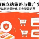 (15818期)DTC品牌独立站策略与推广实战指南,系统讲解从建站到流量转化的全链路运营