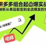 (15816期)2025拼多多组合起爆实战课46期:系统解析从单品裂变到全店爆发的完整路径
