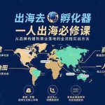 (15857期)出海去 孵化器 一人出海必修课:从品牌构建到商业落地的全流程实战方法