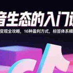 (15856期)抖音生态的入门课程:流量变现全攻略,16种盈利方式,标签体系精准定位