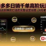 (15850期)拼多多日销千单高阶玩法:从选品到爆款打造的完整运营链路(8月更新)