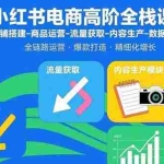 (15840期)小红书电商高阶全栈课:店铺搭建-商品运营-流量获取-内容生产-数据优化