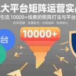 (15841期)三大平台矩阵运营实战:掌握月引流10000+线索的矩阵打法与平台合规策略