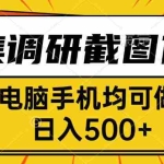 (15868期)采集,调研,截图任务,电脑手机均可做,日入500+