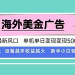 (15902期)最新海外广告美金,全自动挂机,单机单日500+,可矩阵放大,新手小白轻…