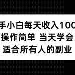 (15937期)新手小白每天收入100+,操作简单 当天学会 ,适合所有人的副业