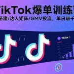 (15920期)TikTok爆单训练营,店铺搭建/达人矩阵/GMV投流,单日破千单实操