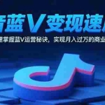 （15950期）抖音蓝V变现速成课，快速掌握蓝V运营秘诀，实现月入过万的商业目标