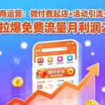 (15960期)拼多多电商运营:微付费起店+活动引流+爆款打造 7天拉爆免费流量月利润2w+