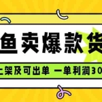 (15977期)闲鱼卖爆款货源,每天利润1000,上架即出单