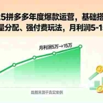 (15973期)2025拼多多年度爆款运营,基础搭建、流量分配、强付费玩法,月利润5-15万