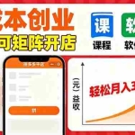 （16047期）拼多多虚拟电商，0成本，单人可矩阵开店，轻松月入3W+