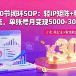 （16026期）小红书10节闭环SOP：轻IP矩阵+私域获客+聚光投流，单账号月变现5000-30000