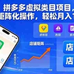 （16025期）拼多多虚拟类目项目，利用矩阵化操作，轻松月入1-5W