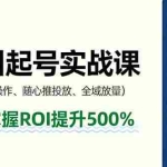 （16086期）抖音千川起号实战课，新户操作,随心推投放,全域放量，6天掌握ROI提升500%