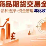 （16083期）大宗商品期货交易全攻略，市场分析+品种选择+资金管理，年化收益500%+