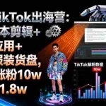 （16108期）AI+TikTok出海营:AI脚本剪辑+工具应用+潮玩服装货盘,30天涨粉10w月销$1.8w