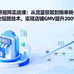 （16104期）无界矩阵实战课：从流量获取到爆单转化的全链路技术，实现店铺GMV提升200%