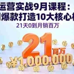 （16101期）淘宝运营实战9月课程：从开店到爆款打造10大核心模块，21天0到月销百万