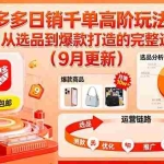 （16100期）拼多多日销千单高阶玩法：从选品到爆款打造的完整运营链路（9月更新）