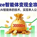 （16116期）Coze智能体变现全攻略：从0到1打造AI智能体的技术，实现单人公司月入3万+