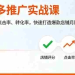 （16115期）拼多多推广实战课，店铺评分、点击率、转化率，快速打造爆款店铺月赚5.8万