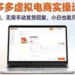 (16138期)拼多多虚拟电商实操运营,一台电脑,无需手动发货回复,小白也能月入1-5W