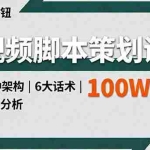 (16137期)视频脚本策划课,13种架构、6大话术、拉片分析,单条播放百万+