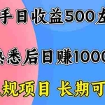 (16132期)新手日收益500+ 正规项目 长期可做