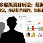 (16236期)拼多多虚拟类目玩法,蓝海项目,长久稳定,多店矩阵操作,轻松日进1K+