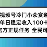 (16234期)视频号小众赛道,单日稳定收入100+,适合所有人