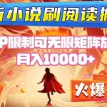 (16237期)小说阅读搬砖单机每天收益200-400+ 无IP限制可无限矩阵放大 —