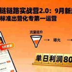 (16265期)闲鱼变现课3.0:掌握链接优化、流量提升、商业变现,单日利润800+