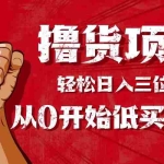 (16315期)手把手教你撸货,从0开始低买高卖,小白轻松实现日入三位数!!!