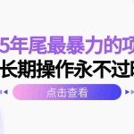 (16316期)2025年尾最暴力的项目可长期操作永不过时