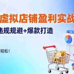 (16387期)淘宝虚拟店铺盈利实战:定位+违规规避+爆款打造,月入过万很轻松!