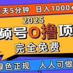 (16388期)2025视频号0撸项目,5分钟一个号,日入1000+,人人可做