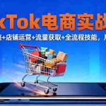 (16422期)TikTok电商实战课10月,选品策略+店铺运营+流量获取+全流程技能,月入5万+