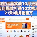 (16403期)淘宝运营实战10月更新:从开店到爆款打造10大核心模块,21天0到月销百万