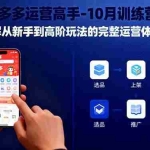 （16448期）拼多多运营高手-10月训练营：讲解从新手到高阶玩法的完整运营体系！