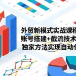 （16496期）外贸新模式实战课程，账号搭建+截流技术+AI矩阵+独家方法实现自动化获客
