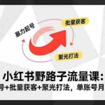 （16513期）小红书野路子流量课：暴力起号+批量获客+聚光打法，单账号月入3万+