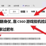 （16533期）25年底翻身仗，靠CSGO游戏挂机捡漏掘金，搞钱回家过肥年