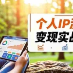 （16525期）个人IP流量变现实战课，涵盖多平台引流、打造个人IP并实现稳定流量变现