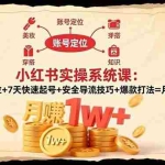 （16554期）小红书实操系统课：账号定位+7天快速起号+安全导流技巧+爆款打法=月赚1w+