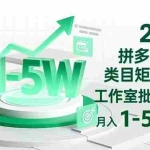 （16548期）2025 拼多多虚拟类目矩阵玩法，工作室批量起号，月入 1-5W 不难