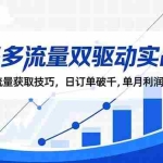 （16563期）拼多多流量双驱动实战课：拼多多流量获取技巧，日订单破千,单月利润增长5w